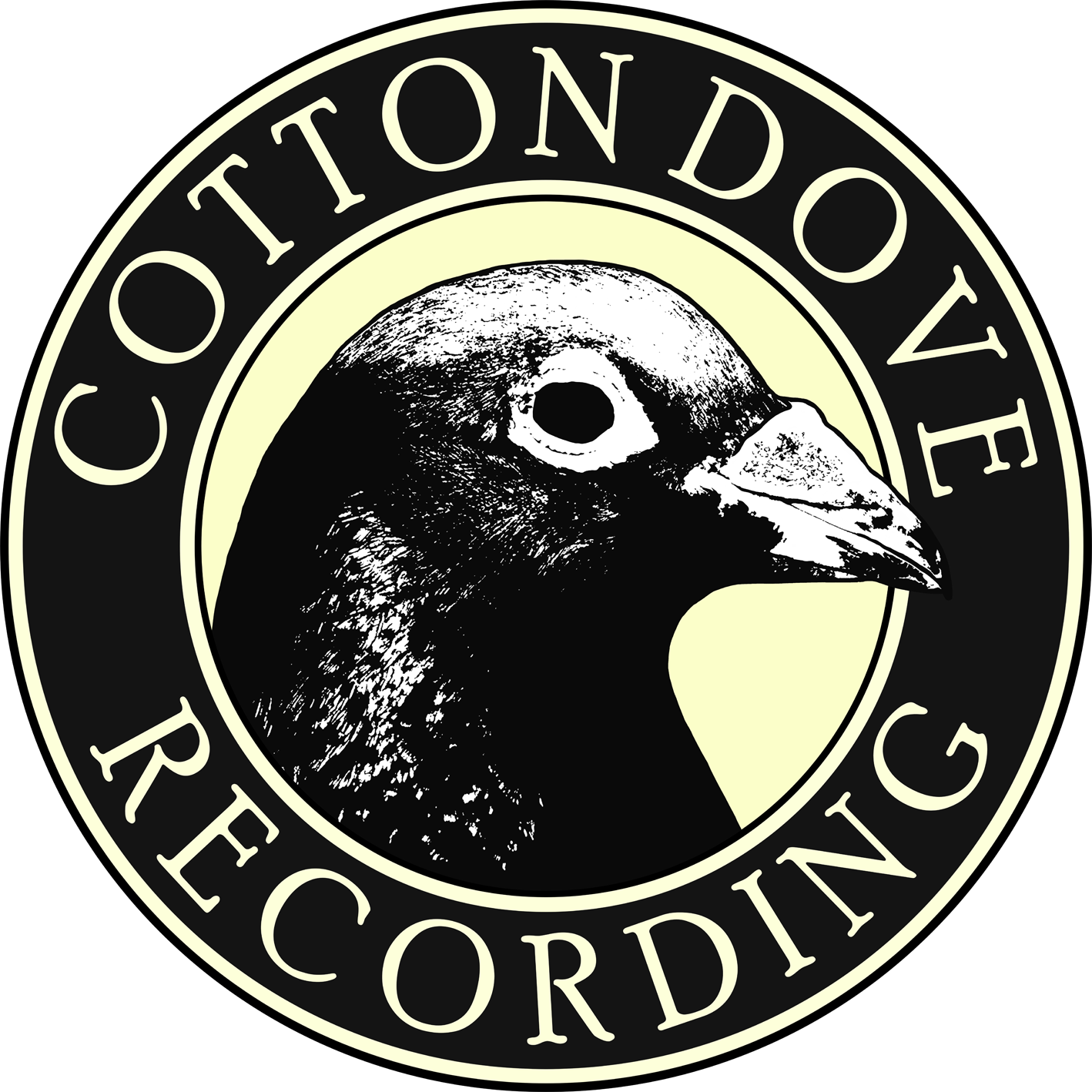 Cotton Dove Recording